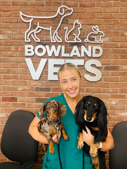 Rebecca at Bowland Vets