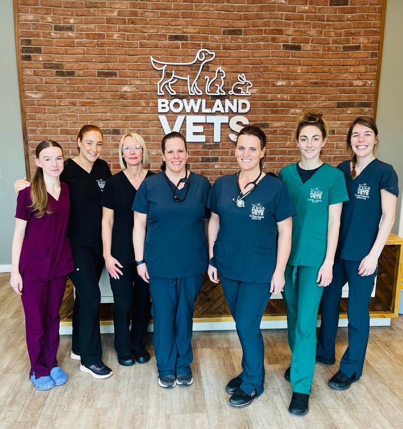 Image of Bowland Vets team photo