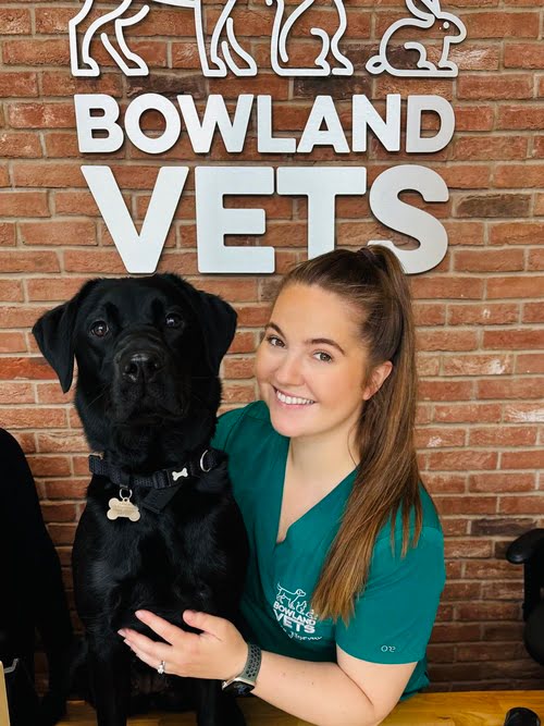 Nicole Harvey at Bowland Vets