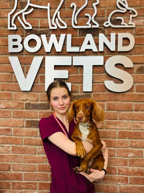 Caitlin at Bowland Vets