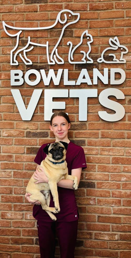 Lexi at Bowland Vets