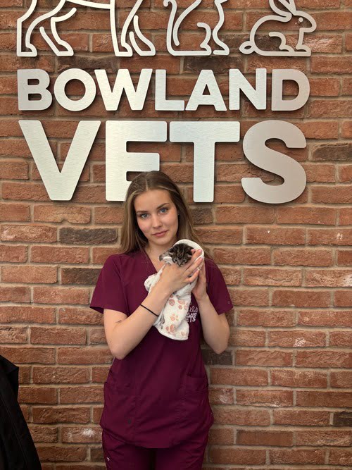 Caitlin vet nurse student