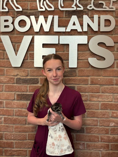 Lexie Student nurse at Bowland Vets